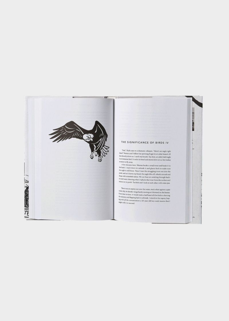 BOOK CLOSER TO THE GROUND 2