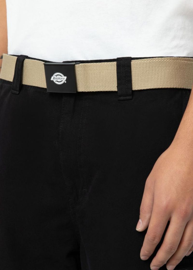 BELT ORCUTT 2