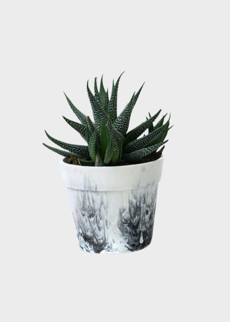 PLANT POT PRECIOUS BLACKWHITE 2
