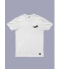 TS PIGEON Y